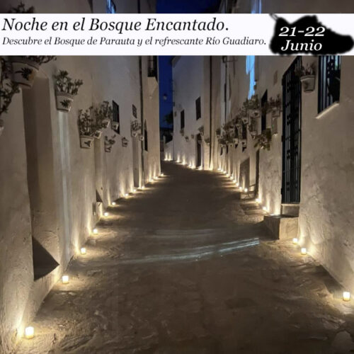 Noche en el bosque encantado (21-22 de Junio)