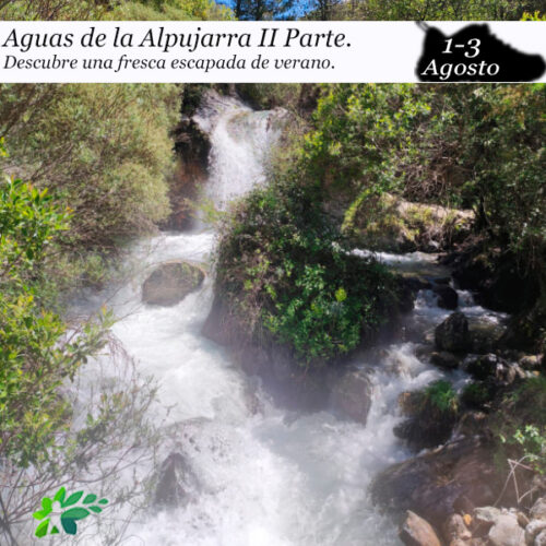Aguas de la Alpujarra II Parte (1-3 de Agosto)