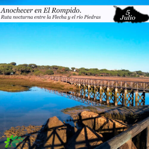 Ruta Anochecer por el Río Piedras (5 de julio)