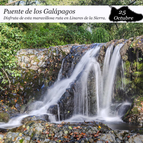 PORTADAS RUTAS Puente de los Galápagos (25 de octubre)