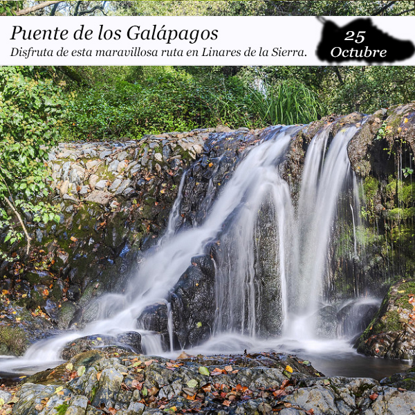Puente de los Galápagos (25 de octubre)