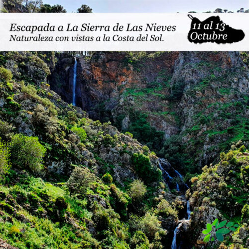 enclavedeportiv-sierra-de-las-nieves-2025c enclavedeportiv-sierra-de-las-nieves-2025