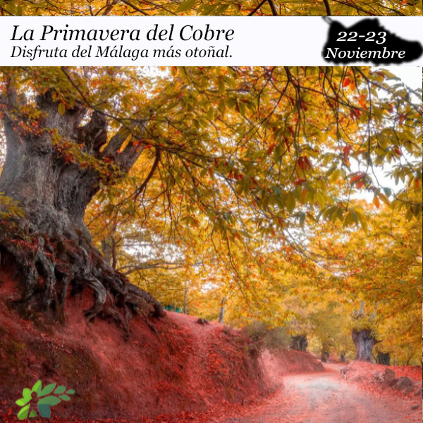 La Primavera de Cobre| 22 y 23 Noviembre