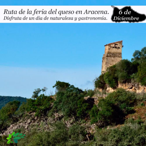 Ruta por la Feria del Queso en Aracena(6 de diciembre)