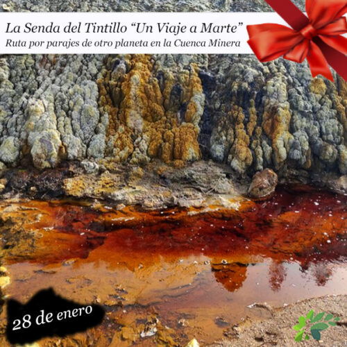 Senda del Tintillo (28 de enero)