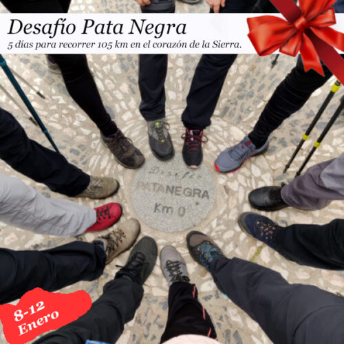 Desafío Pata Negra| 8 al 12 enero 2026
