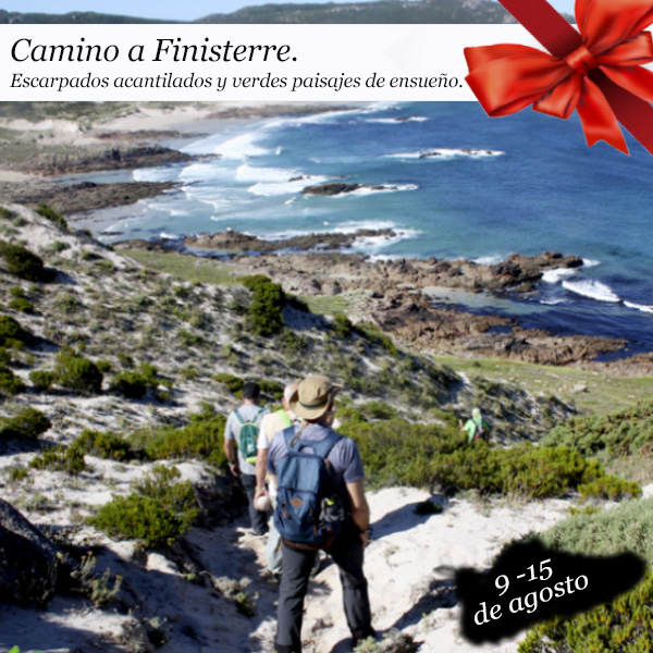 Camino a Finisterre| 9 al 15 de agosto 2026