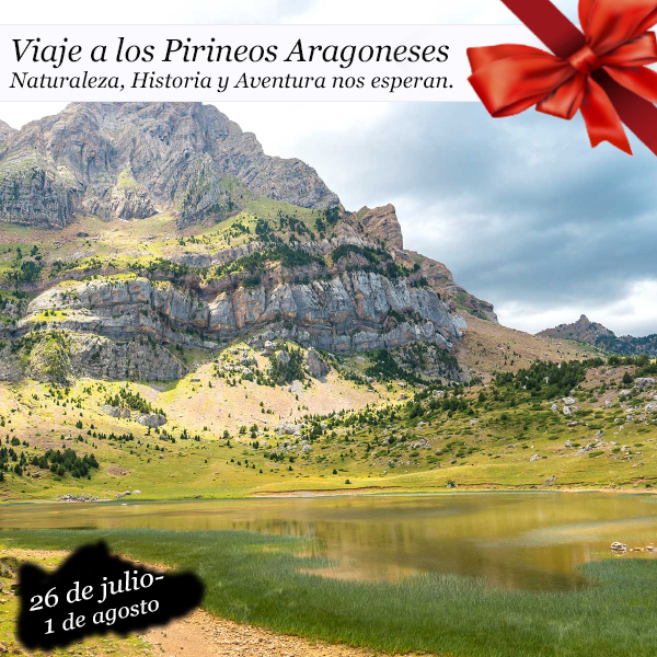 Viaje a los Pirineos | 26 de julio al 1 al agosto 2026