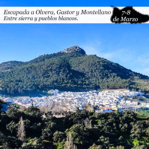 Escapada al Gastor, Olvera y Montellano | 7 y 8 de marzo 2026