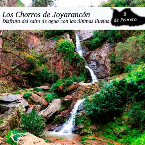Los Chorros de Joyarancón (8 de febrero)