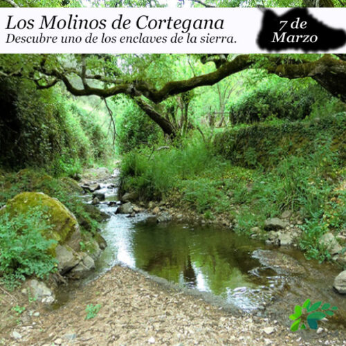 PORTADAS RUTAS Los Molinos de Cortegana (7 de marzo)