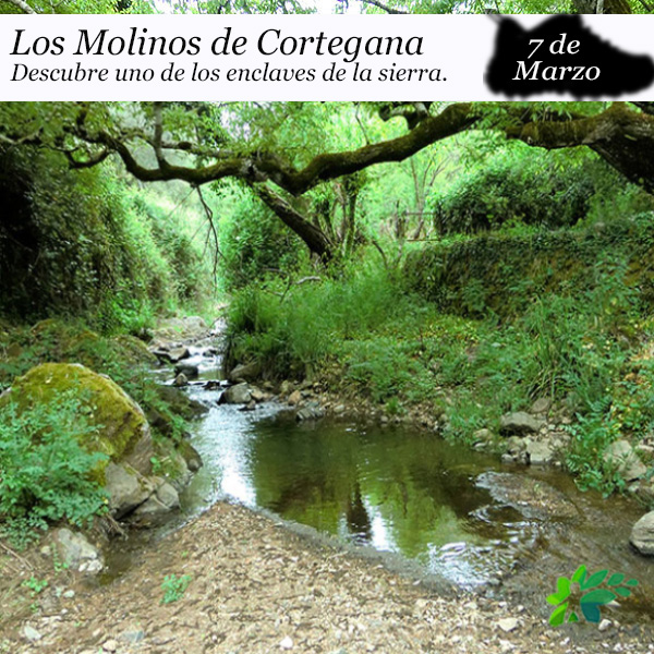 Los Molinos de Cortegana (7 de marzo)