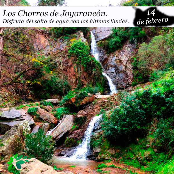 Los Chorros de Joyarancón (14 de febrero)