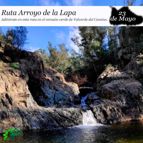 El Arroyo de la Lapa (23 de mayo)
