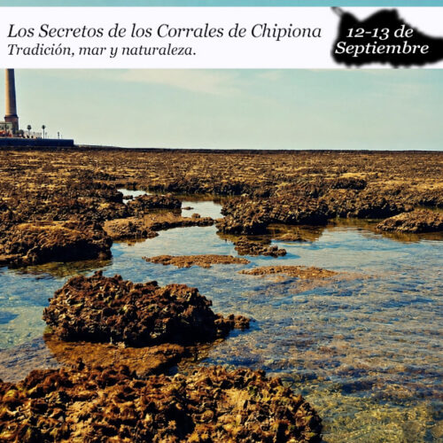 Secretos de los Corrales de Chipiona| 12-13 de septiembre 2026