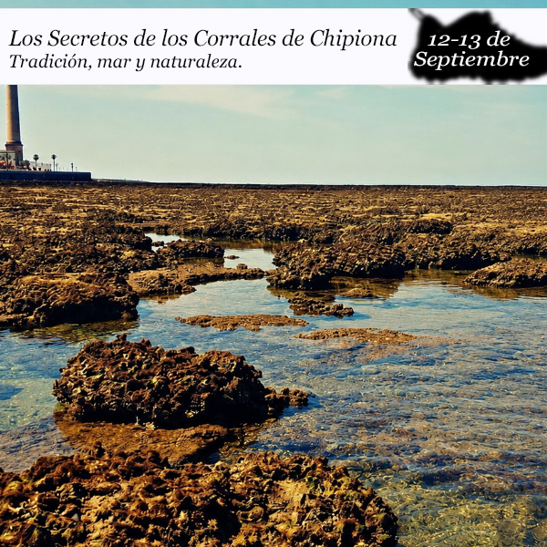 Secretos de los Corrales de Chipiona| 12-13 de septiembre 2026