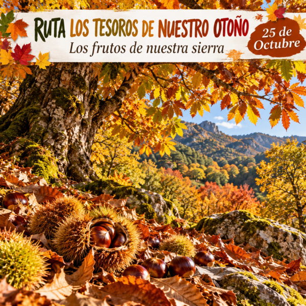 Ruta de los tesoros de nuestro otoño (25 de octubre)